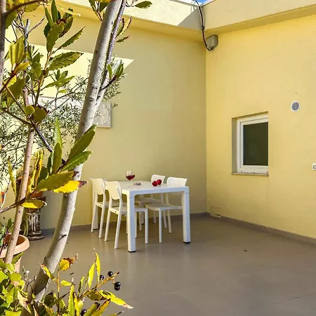 Apartment With A Terrace 1320