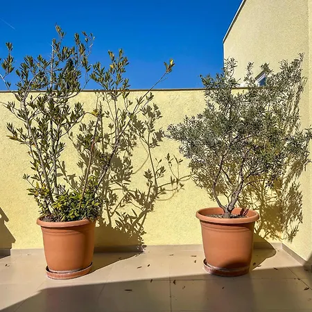 With A Terrace 1320 Durres