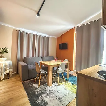 Apartment With A Terrace 1320